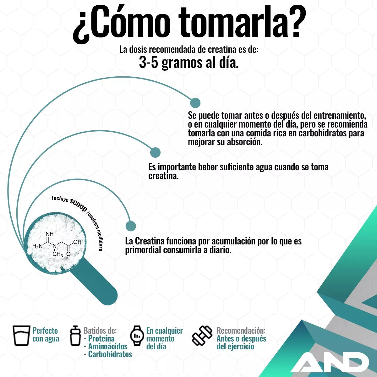 Creatina Monohidratada con certificación Creapure®